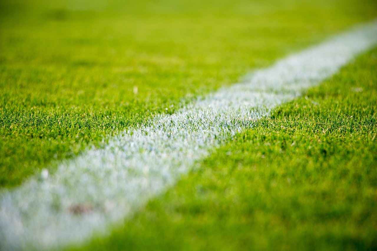 Belangrijke Spelers