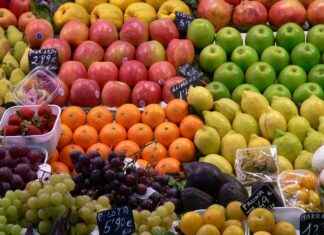Foodhallen en Markten in Utrecht die je Niet Mag Overslaan Foodhallen en Markten in Utrecht die je Niet Mag Overslaan