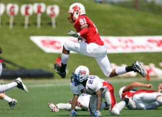Frans Voetbalelftal – Pools Voetbalelftal Statistieken: De Strijd In Detail Frans Voetbalelftal - Pools Voetbalelftal Statistieken: De Strijd In Detail