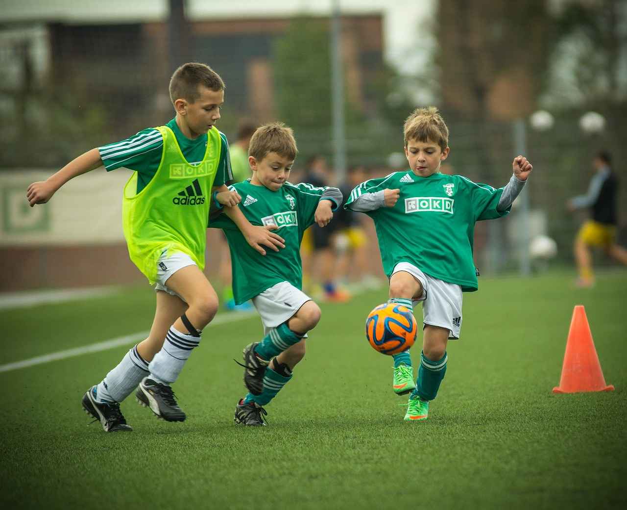 Overzicht van de Teams