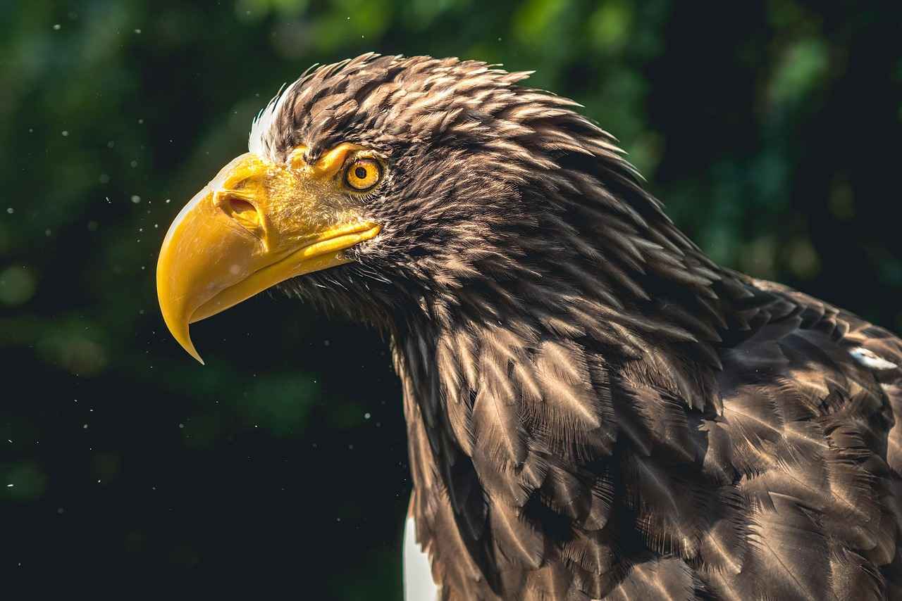 Statistieken van Belang