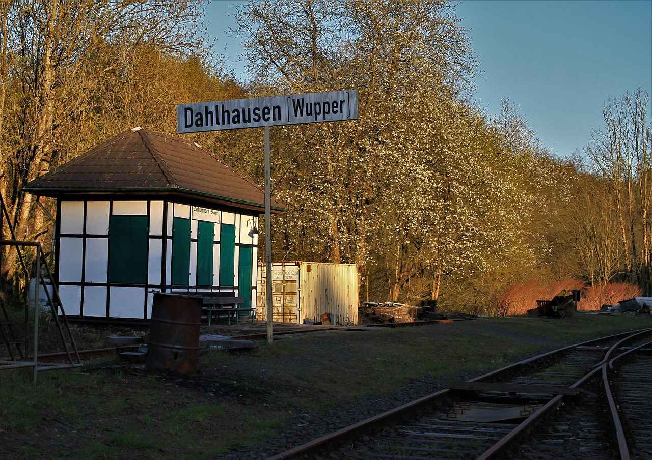 Wat je kunt verwachten