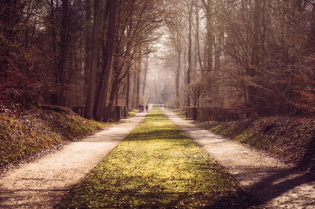 Tips voor een geslaagde wandeling