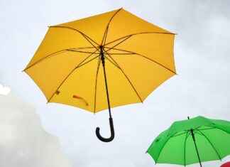 Hoog Catharijne: Alles over het Grootste Winkelcentrum van Utrecht Hoog Catharijne: Alles over het Grootste Winkelcentrum van Utrecht