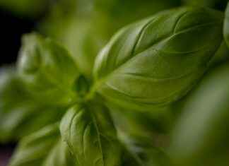 Italiaans Voetbalelftal – Albanees Voetbalelftal Statistieken: Wat Weten We Tot Nu Toe? Italiaans Voetbalelftal - Albanees Voetbalelftal Statistieken: Wat Weten We Tot Nu Toe?