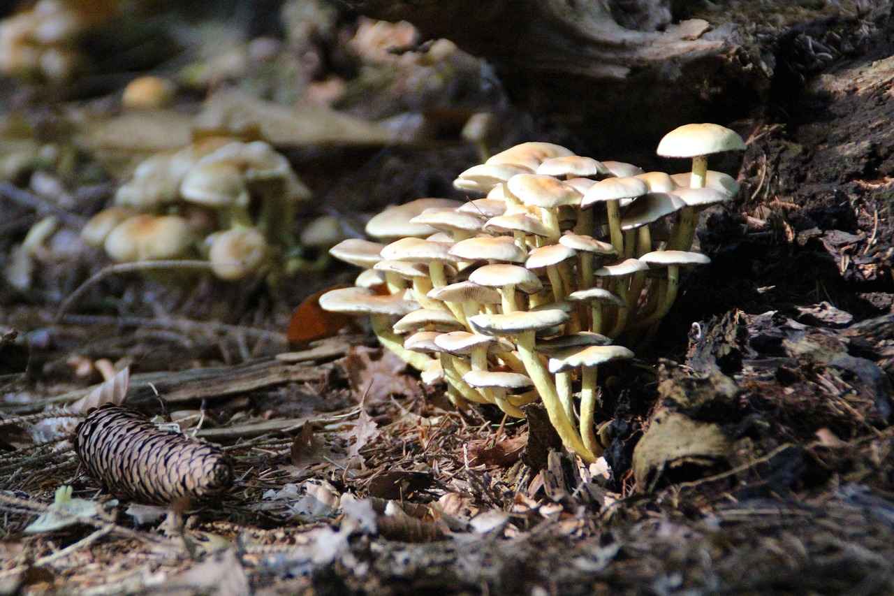 Populaire Kledingmerken