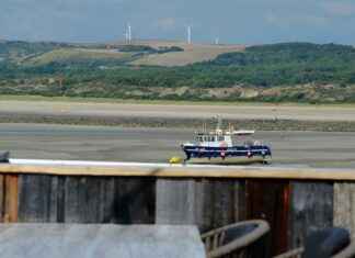 Lokale Brouwerijen en Biertours in Utrecht Lokale Brouwerijen en Biertours in Utrecht
