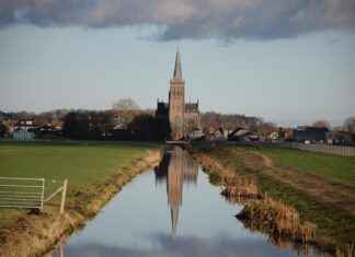 Nederlands Elftal – Bosnisch Voetbalelftal Statistieken: De Grote Vergelijking Nederlands Elftal - Bosnisch Voetbalelftal Statistieken: De Grote Vergelijking