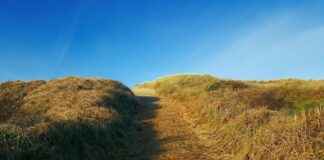 Nederlands Elftal – Canadees Voetbalelftal Statistieken: Wat Gebeurde Er? Nederlands Elftal - Canadees Voetbalelftal Statistieken: Wat Gebeurde Er?