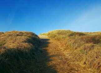 Nederlands Elftal – Canadees Voetbalelftal Statistieken: Wat Gebeurde Er? Nederlands Elftal - Canadees Voetbalelftal Statistieken: Wat Gebeurde Er?