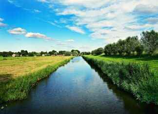 Nederlands Elftal – Engels Voetbalelftal Statistieken: Wie Staat Bovenaan? Nederlands Elftal - Engels Voetbalelftal Statistieken: Wie Staat Bovenaan?