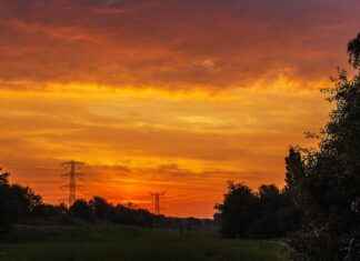 Nederlands Elftal – Oostenrijks Voetbalelftal Statistieken: De Uitslagen Onthuld Nederlands Elftal - Oostenrijks Voetbalelftal Statistieken: De Uitslagen Onthuld