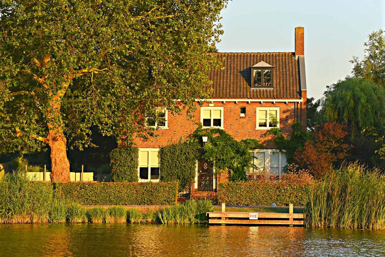 Toekomstige Verwachtingen