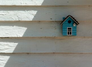 Frans Voetbalelftal En Canadees Voetbalelftal Opstellingen: Wat Zijn De Geheimen?