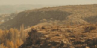 Oostenrijks Voetbalelftal En Turks Voetbalelftal Opstellingen: Wat Zijn De Geheimen?