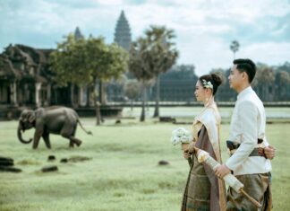 Nec – Feyenoord Opstellingen: Ontdek De Spannende Basisformatie Vandaag!