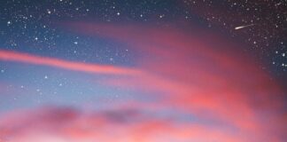 Sc Heerenveen – Feyenoord Opstellingen: Wie Staat Er Vandaag In De Basis?