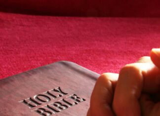 Testament Opstellen Makkelijk Gemaakt: Wat Moet Je Echt Weten?