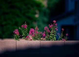 Nec – Fc Twente Opstellingen: Ontdek De Spannende Wedstrijdselecties!