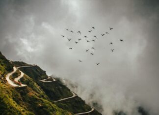 Go Ahead Eagles – SK Brann Opstellingen: Wat Moet Je Weten?