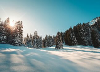 Frans Voetbalelftal Vs Duits Voetbalelftal Opstellingen: Wie Winnen?