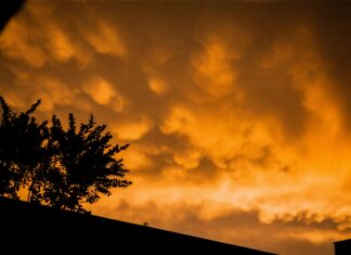 Ajax – SC Heerenveen Opstellingen: Ontdek De Spannende Teamselecties Vandaag