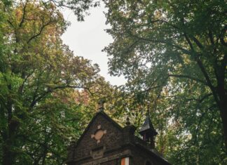 Fortuna Sittard – NEC Opstellingen: Ontdek De Spannende Wedstrijdlijnups!