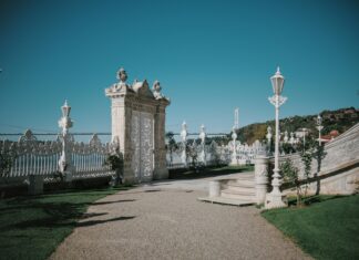 Ajax Beşiktaş Opstellingen: Ontdek De Spannende Teamselecties Vandaag