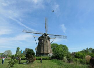 Fc Groningen – Feyenoord Opstellingen: Wie Staat Er Deze Wedstrijd?