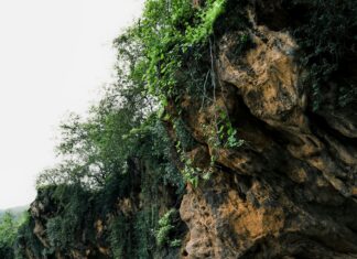 Pools Voetbalelftal En Turks Voetbalelftal Opstellingen Ontdekt!