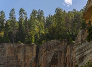 Feyenoord – AZ Opstellingen: Ontdek De Spannende Teamkeuzes Vandaag