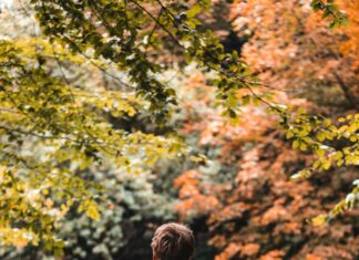Pec Zwolle Ajax Opstellingen: Ontdek De Spannende Teamselecties Vandaag