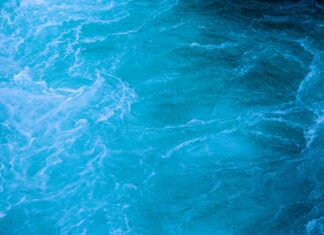 Pools Voetbalelftal: Ontdek De Beste Nederlands Elftal Opstellingen!