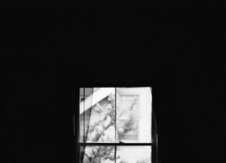 Ajax – PEC Zwolle Opstellingen: Ontdek De Spannende Teamopstellingen!