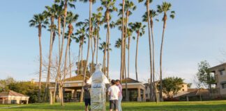 Young Boys Aston Villa Opstellingen: Wat Maakt Deze Teams Uniek?