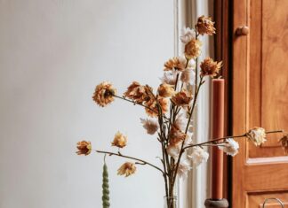 Fc Dordrecht – Feyenoord Opstellingen: Welke Verrassingen Zien We?