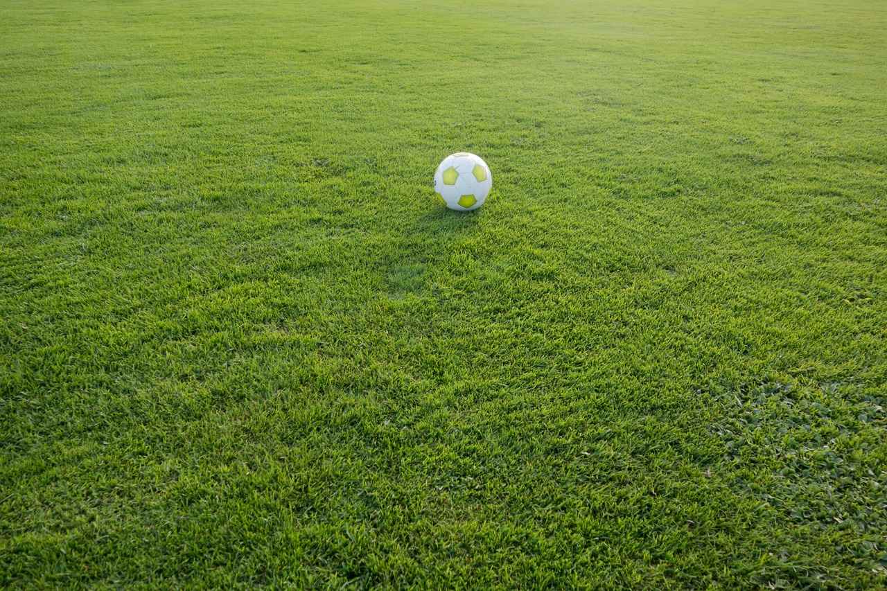 Spelers om in de Gaten te Houden