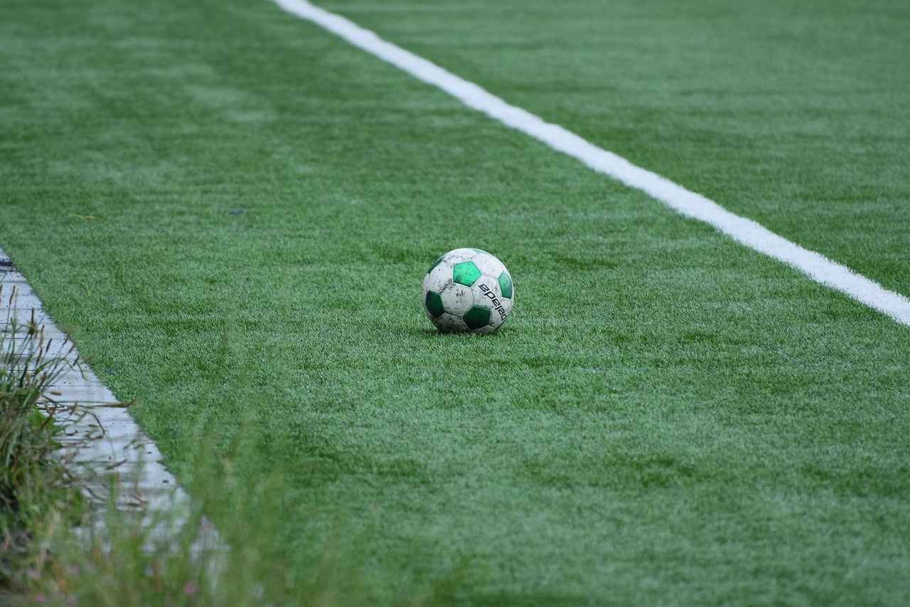 Belangrijkste Spelers