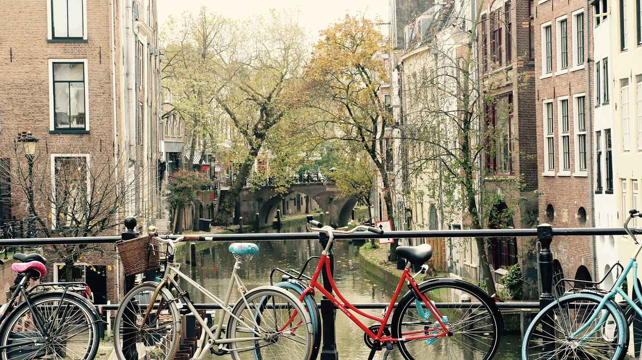 Waar te Gaan voor de Beste Ervaring?