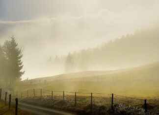 Sloveens Voetbalelftal – Deens Voetbalelftal Statistieken: Een Complete Vergelijking Sloveens Voetbalelftal - Deens Voetbalelftal Statistieken: Een Complete Vergelijking
