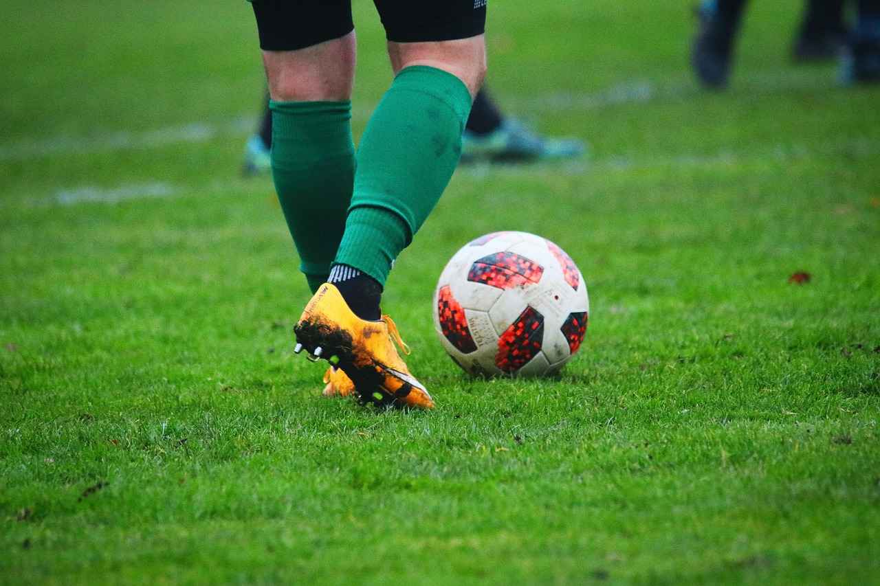Belangrijkste Spelers