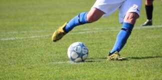 De Kunst van het Boek: Drukkunst en Typografie in Utrecht Statistieken en Cijfers