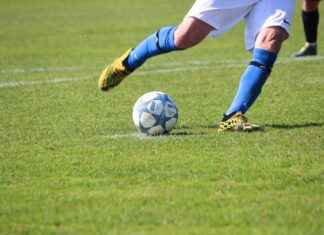 De Kunst van het Boek: Drukkunst en Typografie in Utrecht Statistieken en Cijfers