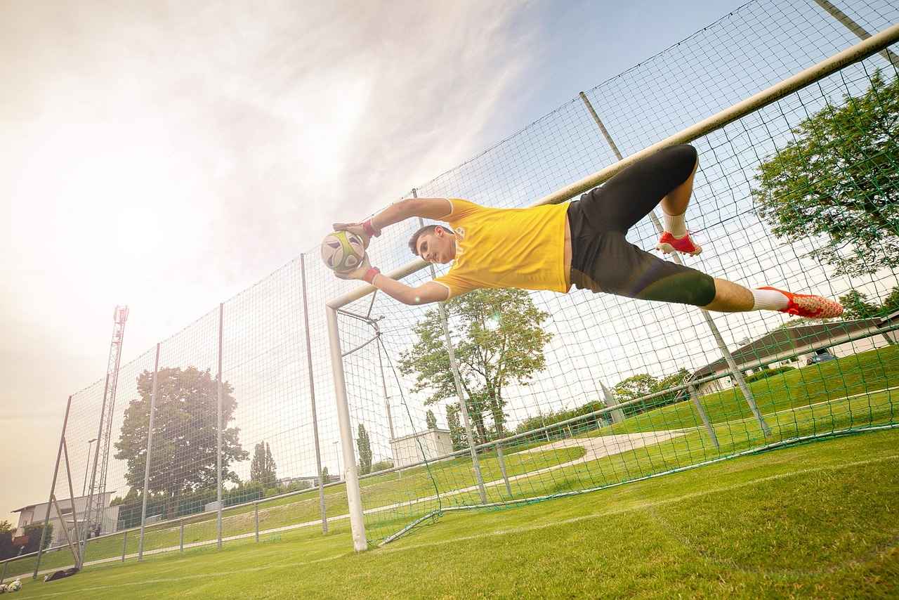 Belangrijkste Spelers