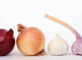 Streetfood in Utrecht: Lokale Smaken van de Straat Streetfood in Utrecht: Lokale Smaken van de Straat