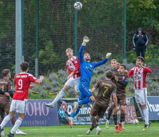 Internationale Dag van de Vrede: Activiteiten in Utrecht Algemene Overzicht van de Teams