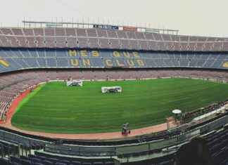 Design & Duurzaamheid: Groene Innovaties uit Utrecht Fans en Cultuur