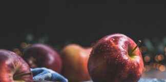 Utrechtse Eetcultuur: Wat Maakt het Verschil? Utrechtse Eetcultuur: Wat Maakt het Verschil?