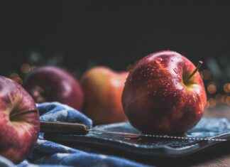 Utrechtse Eetcultuur: Wat Maakt het Verschil? Utrechtse Eetcultuur: Wat Maakt het Verschil?