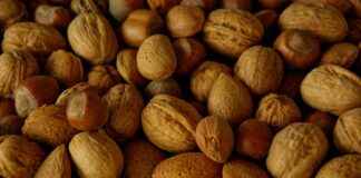 Van Bitterbal tot Stroopwafel: Utrechtse Snacks die je Geproefd Moet Hebben Van Bitterbal tot Stroopwafel: Utrechtse Snacks die je Geproefd Moet Hebben